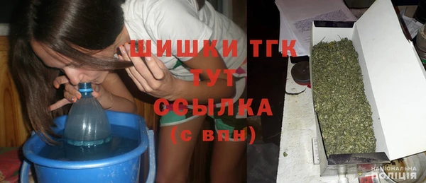 прущие грибы Богородицк