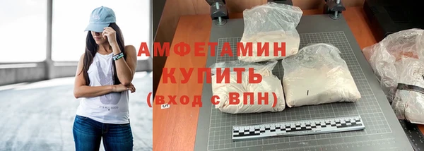 прущие грибы Богородицк