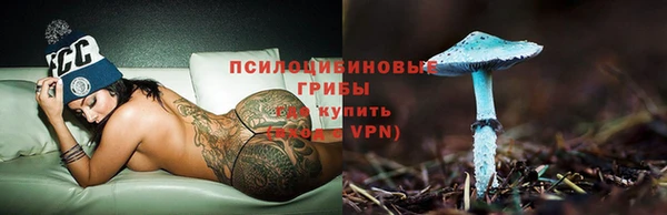 соль курить ск Богданович