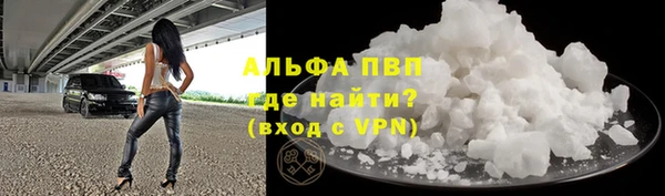 СК Богородск