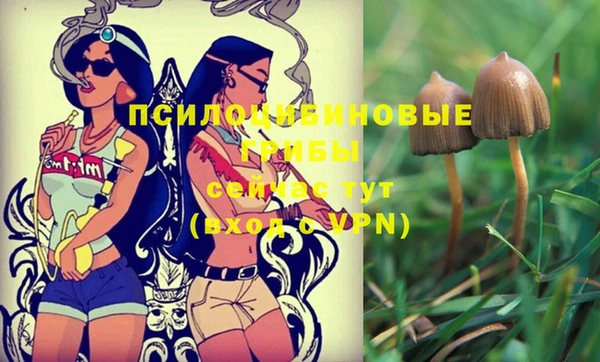 соль курить ск Богданович