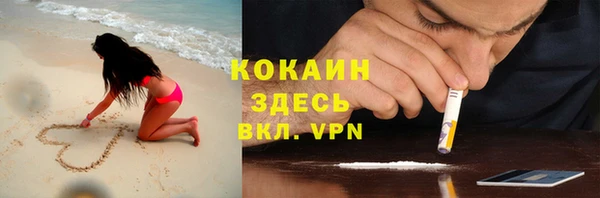 прущие грибы Богородицк