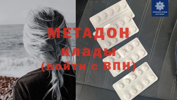 прущие грибы Богородицк