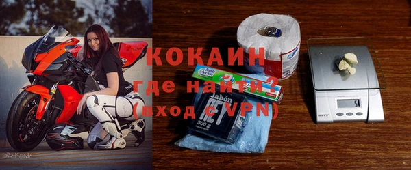 прущие грибы Богородицк