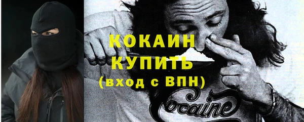 прущие грибы Богородицк