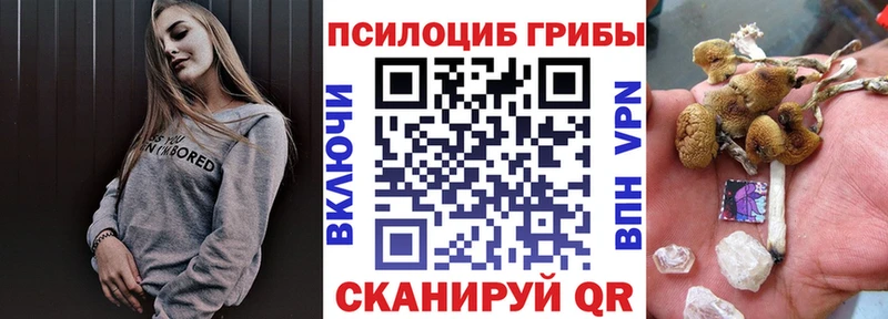 где купить наркотик  Богородицк  Галлюциногенные грибы GOLDEN TEACHER 