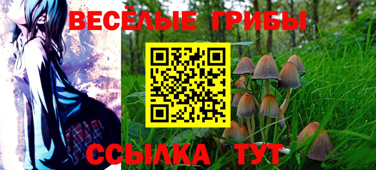 Галлюциногенные грибы MAGIC MUSHROOMS  Вход с VPN  Псилоцибиновые грибы MAGIC MUSHROOMS  Богородицк 