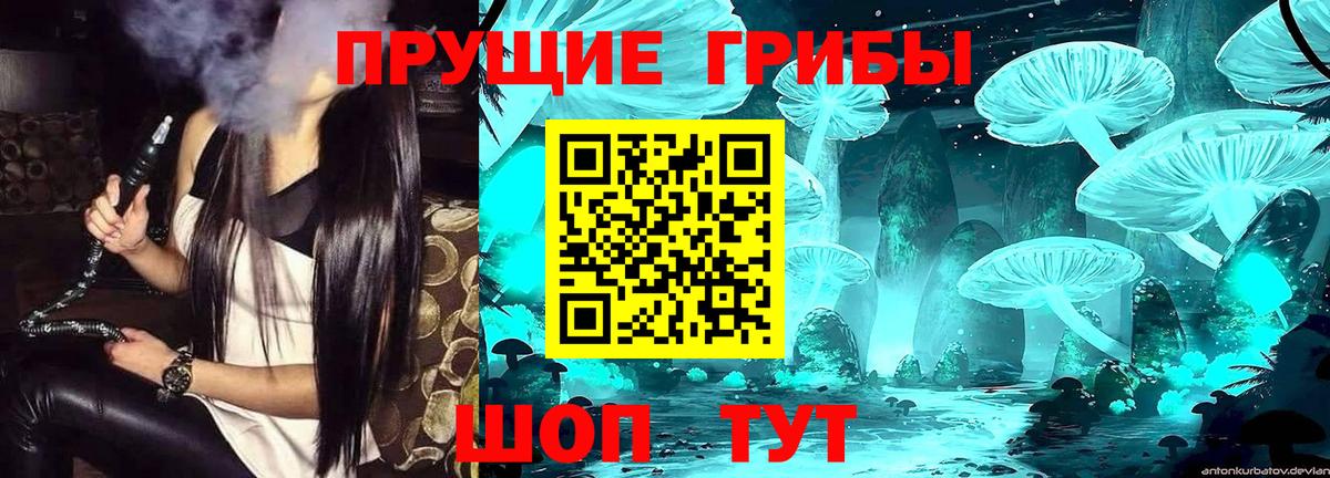 Галлюциногенные грибы ЛСД Богородицк