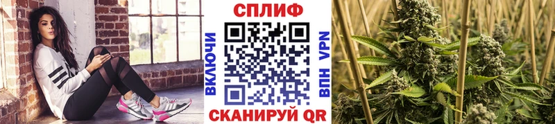 как найти закладки  Богородицк  Бошки марихуана индика 